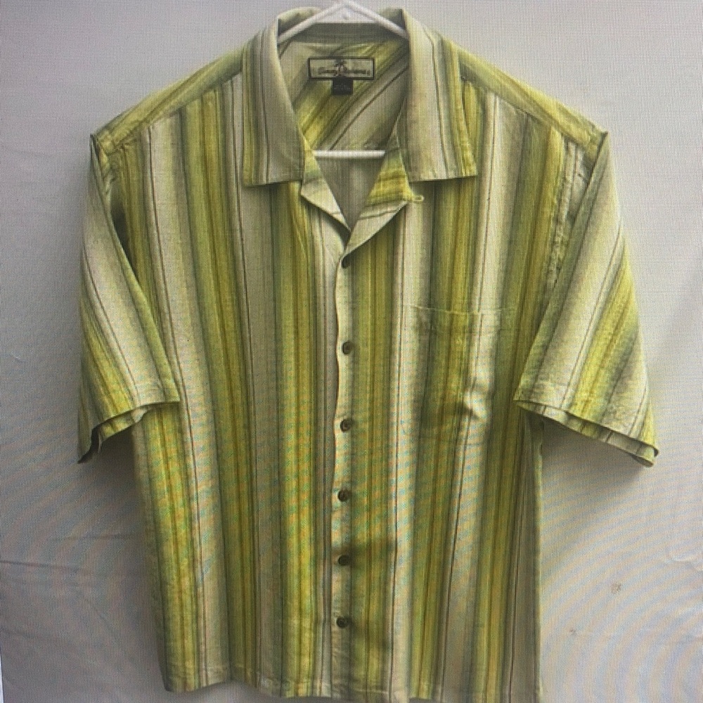 Green Striped Men's Shirt